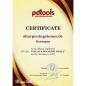 Preview: PDT Expert Pro Diamant Schleifrad / 250 x 40 x 12 mm / 200-160 Micron ca. 80 Grit